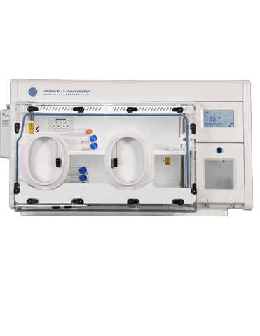 Whitley H35 Hypoxystation